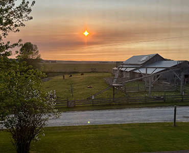 farm july
